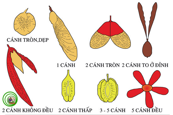 Thiết kế sân vườn, thiết kế sân vườn biệt thự, thiết kế sân vườn đẹp, sân vườn biệt thự, sân vườn sinh thái, biệt thự sinh thái, thiết kế sân vườn tiểu cảnh, thiết kế sân vườn cảnh quan, thiết kế hồ Koi, thiết kế hồ cá Koi, thiết kế hồ cá chép Nhật, thiết kế hồ cá chép rồng, thiết kế vườn treo, thiết kế vườn trên mái, thiết kế vườn nước, thiết kế vườn Nhật, thiết kế vườn khô, thi công sân vườn, thi công sân vườn biệt thự, thi công sân vườn đẹp, thi công sân vườn tiểu cảnh, thiết kế cảnh quan, thiet ke canh quan, thi công sân vườn cảnh quan, thiết kế tiểu cảnh, giếng trời, thiet ke tieu canh, gieng troi,  thi công tiểu cảnh, giếng trời,  thi công cảnh quan, thi công hồ Koi, thi công hồ cá Koi, thi công hồ cá chép Nhật, thi công vườn treo, thi công vườn trên mái, thi công vườn Nhật